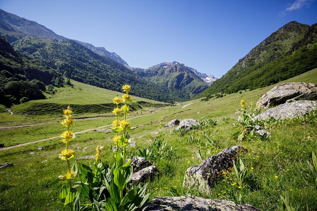 Paysage de l'Ariège