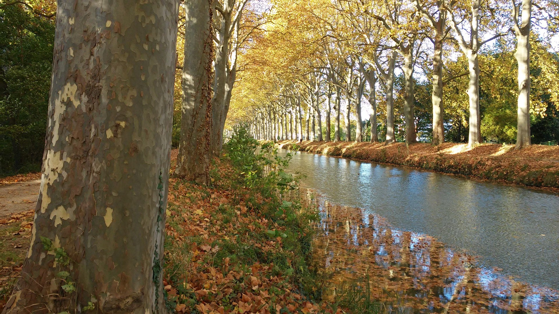 Vue de Ramonville-Saint-Agne.